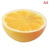 a4-lemon-10x5cm